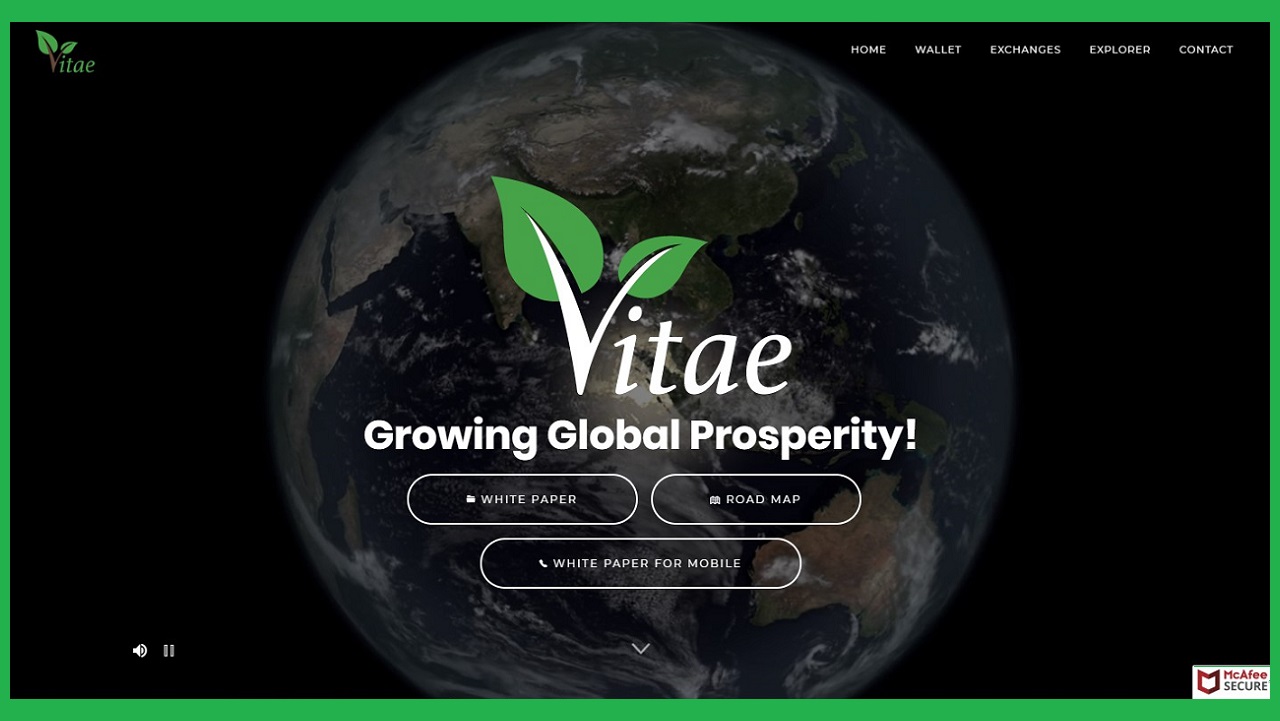 Vitae Coin là gì ? có phải là một khoản đầu tư tốt ? | tienaoplus.com
