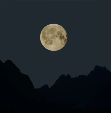 Mã LUNA và MIR của Terraform Labs là Chứng khoán, Quy tắc Thẩm phán