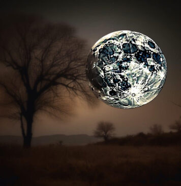 Giá Terra Luna Classic tăng