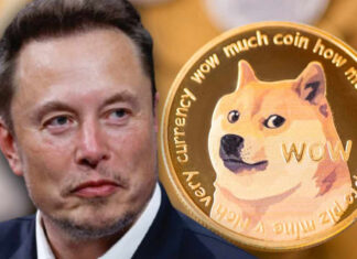 Elon Musk ủng hộ DOGE cho các khoản thanh toán của Tesla